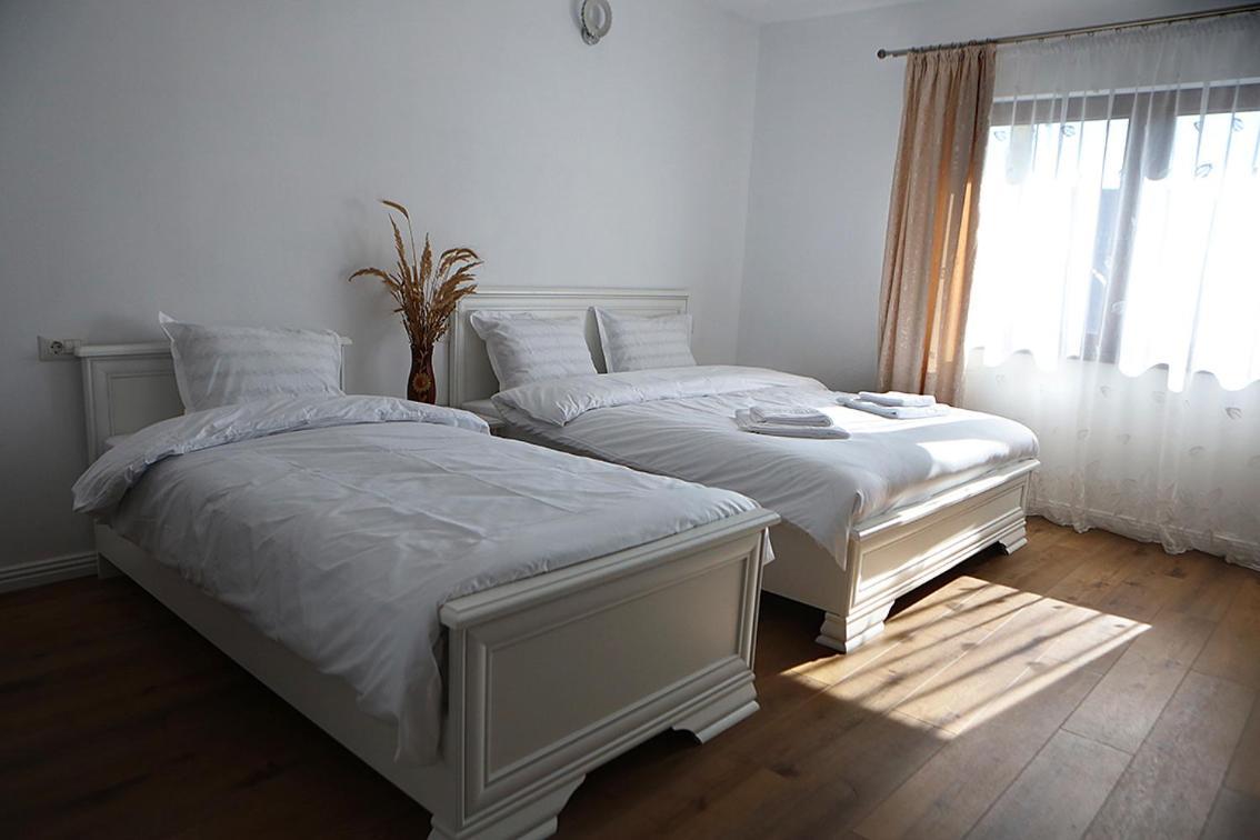 Casa Carmen Hotel Poienile Izei Buitenkant foto